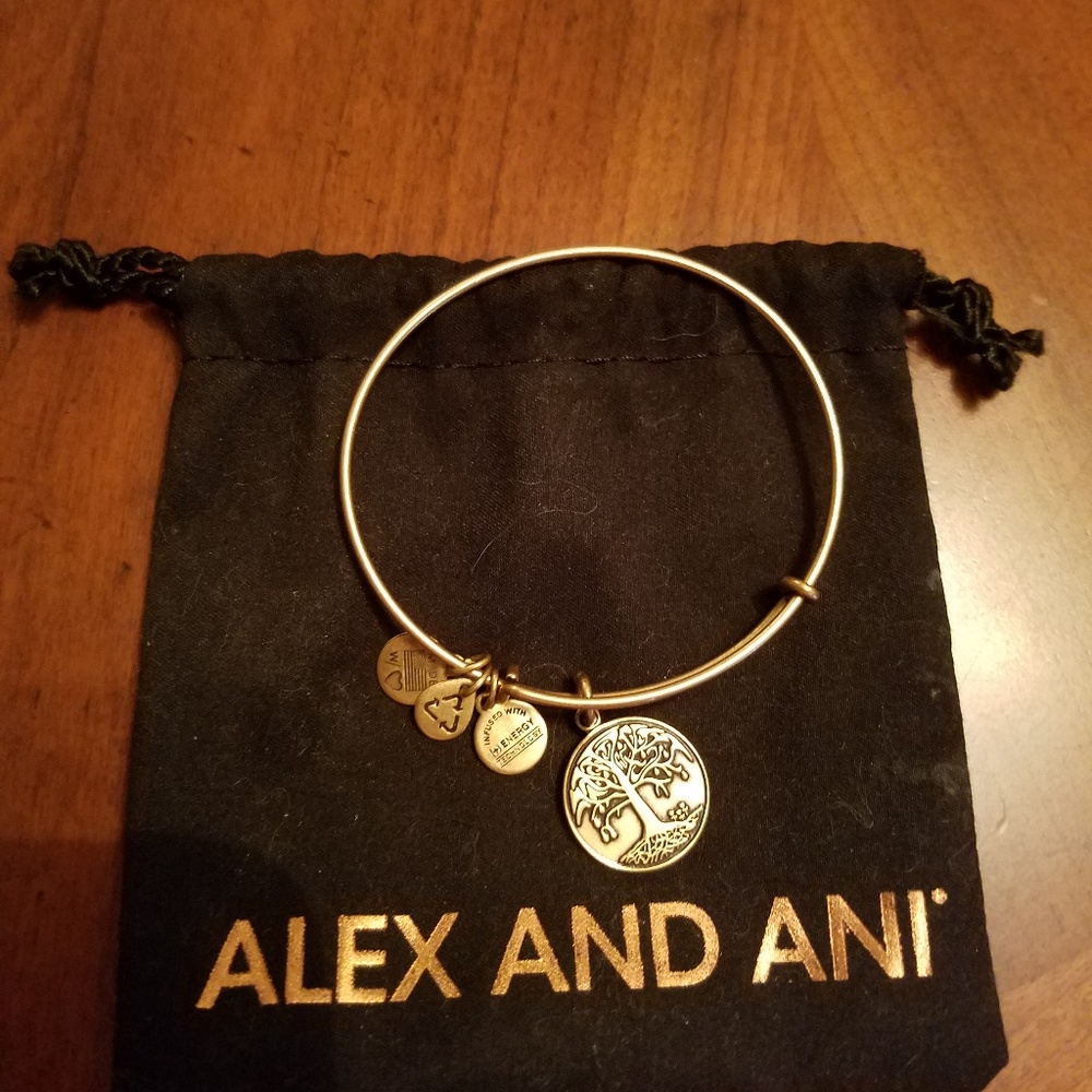 Alex and Ani bracelet. NWOT